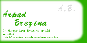 arpad brezina business card